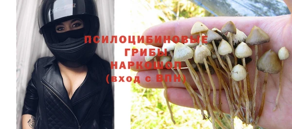 спиды Магадан
