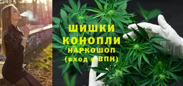 гашик Магас