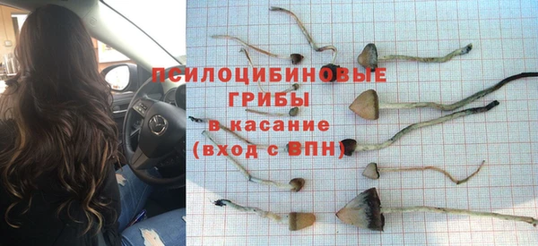 таблы Майский