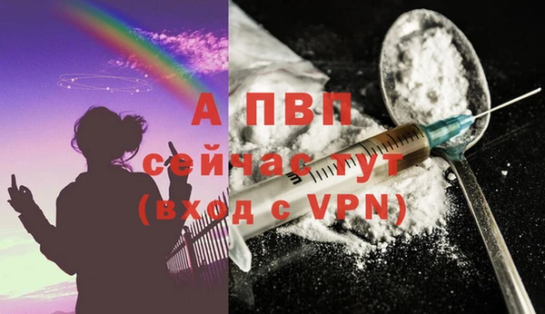 спиды Магадан